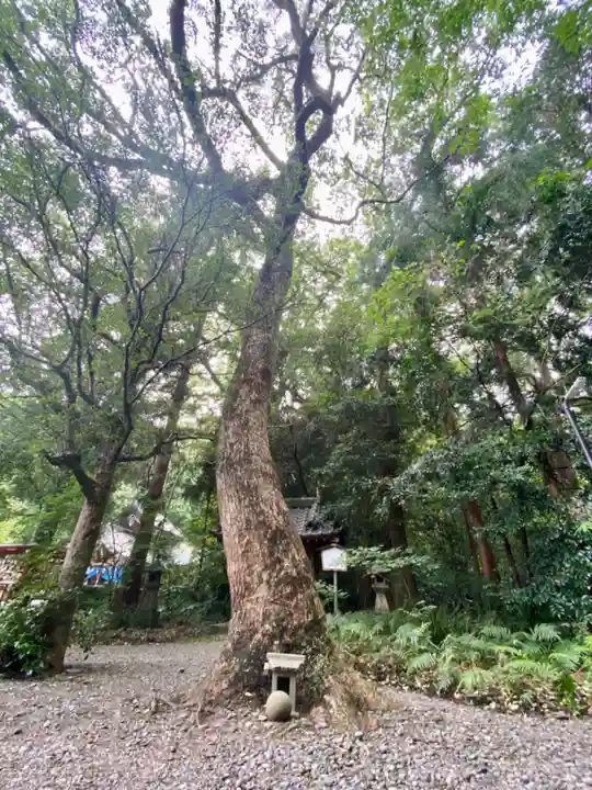 若宮八幡宮(高知県)