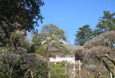 東長谷寺　薬王院(東京都)