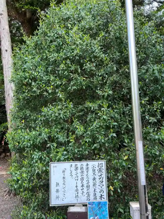 息栖神社(茨城県)