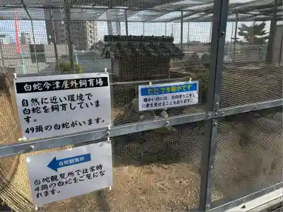 岩国白蛇神社(山口県)