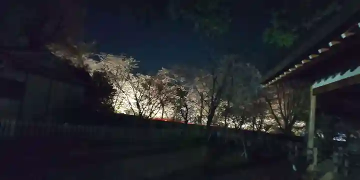 平野神社(京都府)
