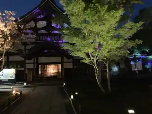 高台寺（高台寿聖禅寺・高臺寺）の本殿・本堂