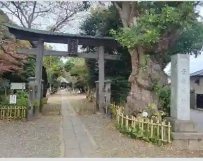 子守神社(千葉県)