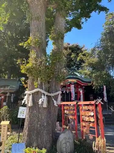 川越八幡宮(埼玉県)