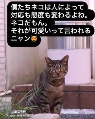 専念寺(大阪府)