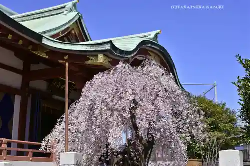 千住神社(東京都)