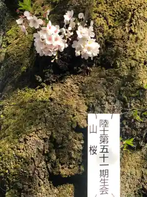 靖國神社(東京都)