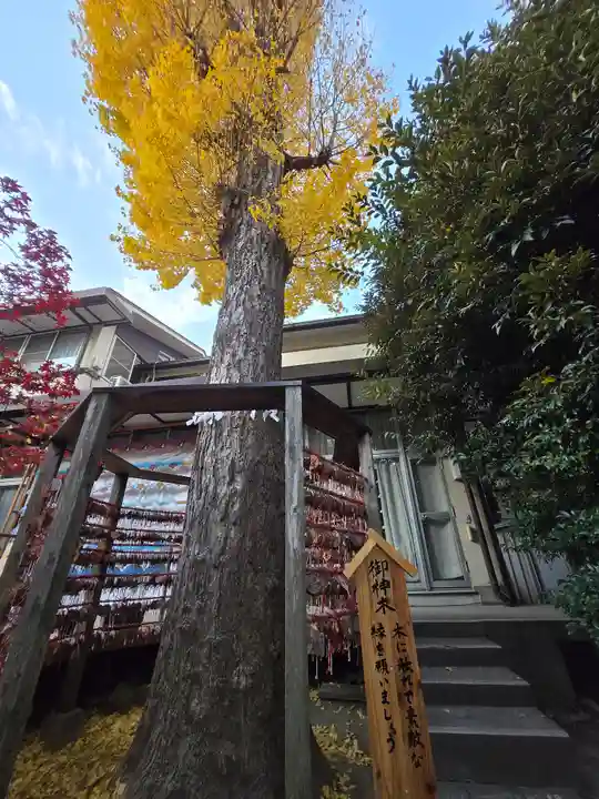 越谷香取神社(埼玉県)
