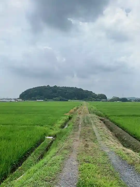 丸山神社(千葉県)