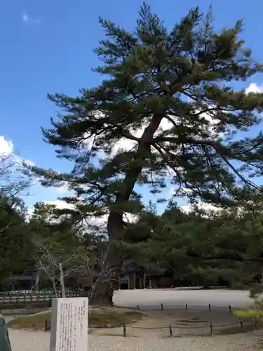 橿原神宮の自然