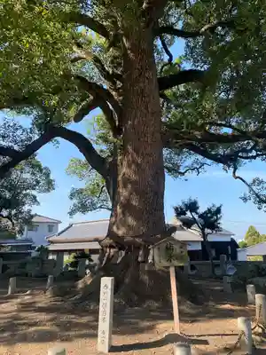 白峰宮(香川県)