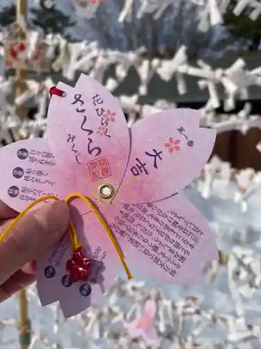 札幌護國神社のおみくじ