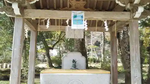 橘樹神社の手水舎
