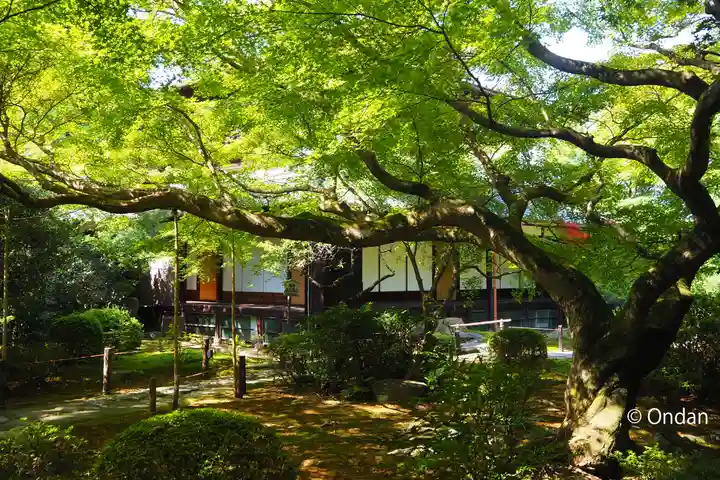 青蓮院門跡(京都府)