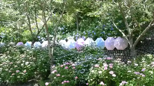 尊永寺(静岡県)