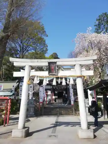 川越八幡宮(埼玉県)
