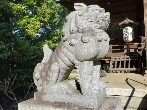 東玉川神社の狛犬