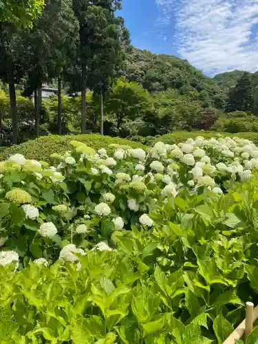 三室戸寺の{uncategorized: "未分類", other: "その他", undefined: "問題あり", building: "その他建物", grave: "お墓", sacred_gate: "鳥居", guardian: "狛犬", statue: "像", buddha: "仏像", history: "歴史", nature: "自然", garden: "庭園", animal: "動物", pagoda: "塔", temizu: "手水舎", mountain_gate: "山門・神門", sanctuary: "本殿・本堂", subordinate: "末社・摂社", art: "芸術", scenery: "景色", jizo: "地蔵", ema: "絵馬", goshuin: "御朱印", omikuji: "おみくじ", items: "授与品その他", amulet: "お守り", goshuincho: "御朱印帳", eats: "食事", festival: "お祭り", votive_dance: "神楽", shichigosan: "七五三参", wedding: "結婚式", experience: "体験その他", initially: "初詣", around: "周辺", anti_infection: "感染症対策"}