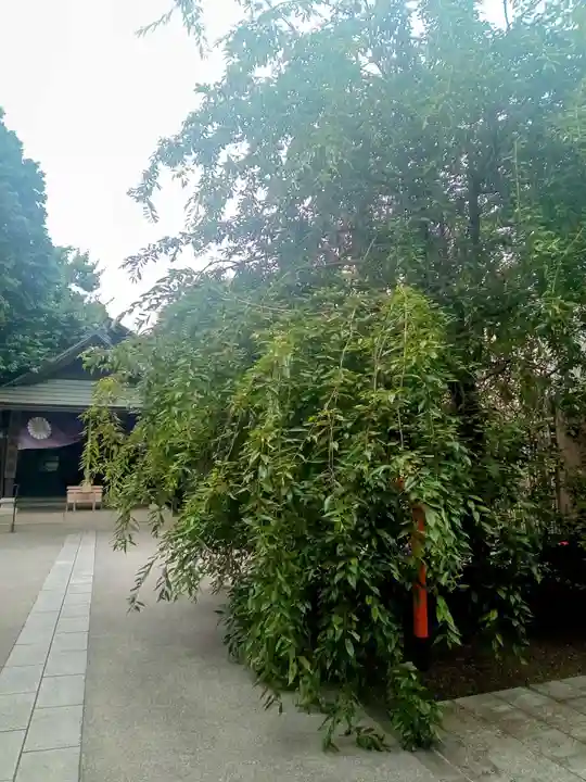 猿田彦神社(東京都)