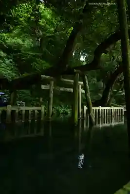 鹿島神宮(茨城県)