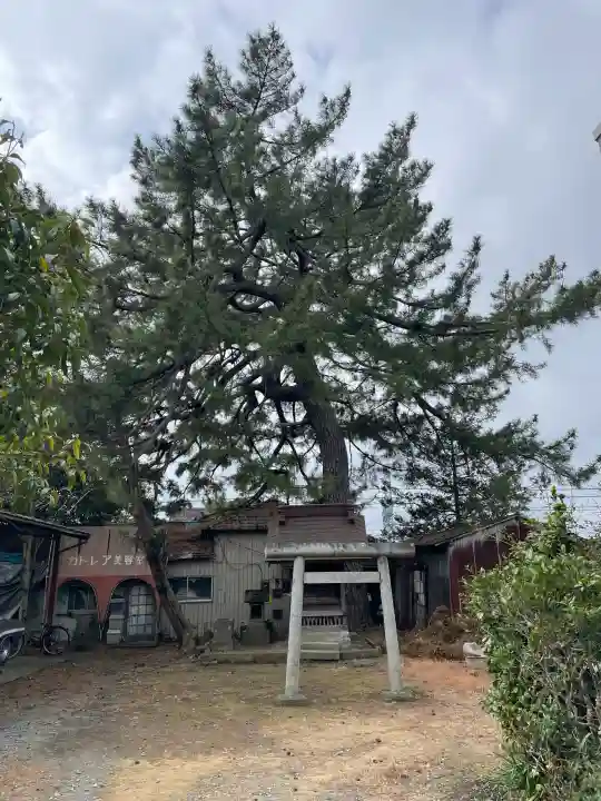 第六天神社の{uncategorized: "未分類", other: "その他", undefined: "問題あり", building: "その他建物", grave: "お墓", sacred_gate: "鳥居", guardian: "狛犬", statue: "像", buddha: "仏像", history: "歴史", nature: "自然", garden: "庭園", animal: "動物", pagoda: "塔", temizu: "手水舎", mountain_gate: "山門・神門", sanctuary: "本殿・本堂", subordinate: "末社・摂社", art: "芸術", scenery: "景色", jizo: "地蔵", ema: "絵馬", goshuin: "御朱印", omikuji: "おみくじ", items: "授与品その他", amulet: "お守り", goshuincho: "御朱印帳", eats: "食事", festival: "お祭り", votive_dance: "神楽", shichigosan: "七五三参", wedding: "結婚式", experience: "体験その他", initially: "初詣", around: "周辺", anti_infection: "感染症対策"}
