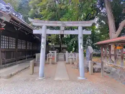 八幡社(柏井町)の鳥居