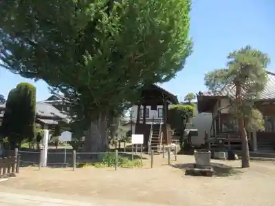 龍光寺(群馬県)