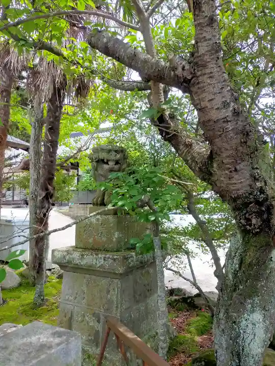 小名浜諏訪神社 ~海の鎮守様~の狛犬