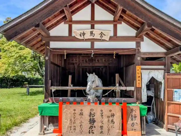 賀茂別雷神社(上賀茂神社)(京都府)