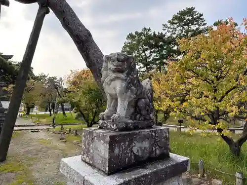 白山神社の狛犬