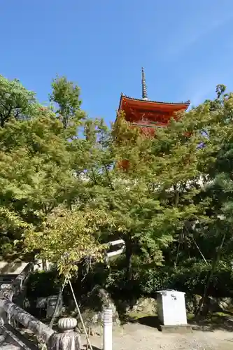 清水寺の塔