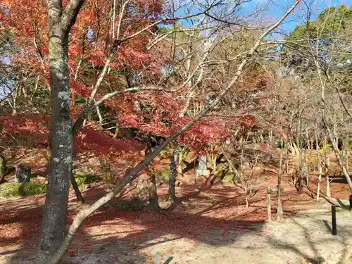 宝満宮竈門神社(福岡県)