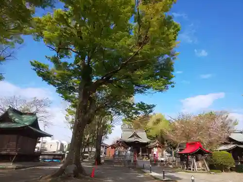 多賀神社のその他建物