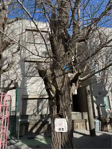 女躰大神の自然