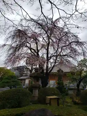 最勝寺(東京都)