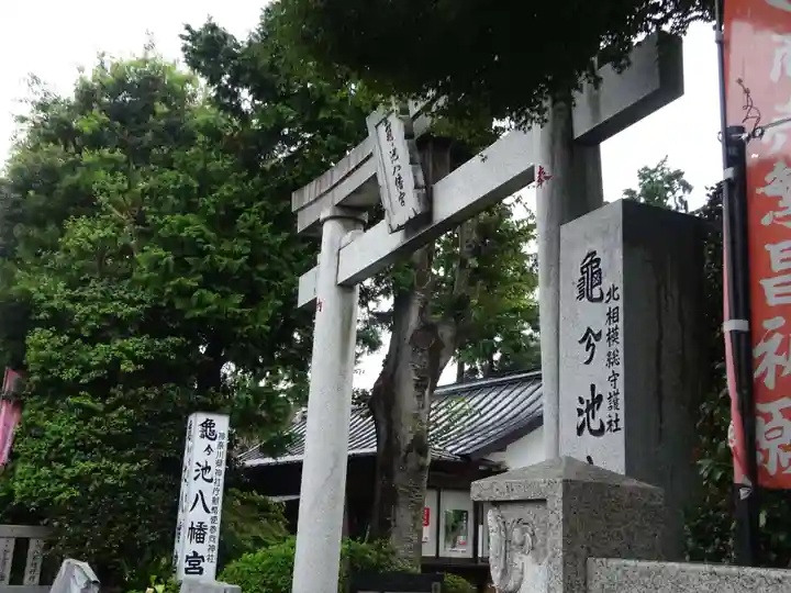 亀ケ池八幡宮の鳥居