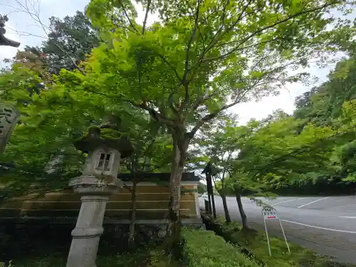 金剛輪寺(滋賀県)