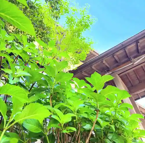 十日恵比須神社(福岡県)