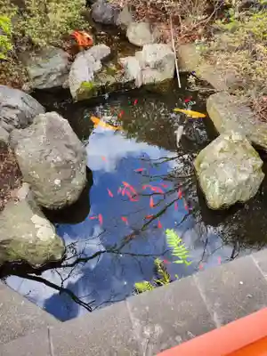 千葉神社(千葉県)