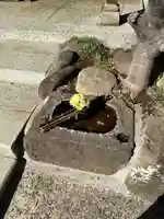 龍泉院(東京都)