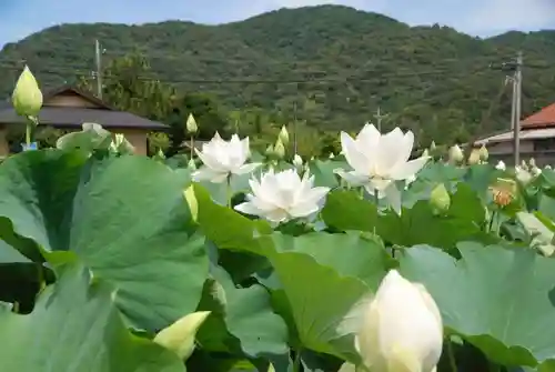 浄名寺(山口県)