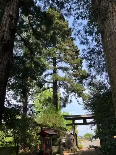 福原八幡宮(栃木県)