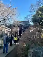 天王寺(東京都)