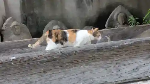 行願寺（革堂）(京都府)