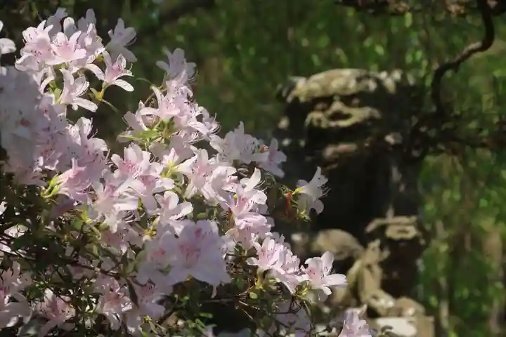 豊景神社の景色