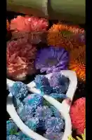 前玉神社の{uncategorized: "未分類", other: "その他", undefined: "問題あり", building: "その他建物", grave: "お墓", sacred_gate: "鳥居", guardian: "狛犬", statue: "像", buddha: "仏像", history: "歴史", nature: "自然", garden: "庭園", animal: "動物", pagoda: "塔", temizu: "手水舎", mountain_gate: "山門・神門", sanctuary: "本殿・本堂", subordinate: "末社・摂社", art: "芸術", scenery: "景色", jizo: "地蔵", ema: "絵馬", goshuin: "御朱印", omikuji: "おみくじ", items: "授与品その他", amulet: "お守り", goshuincho: "御朱印帳", eats: "食事", festival: "お祭り", votive_dance: "神楽", shichigosan: "七五三参", wedding: "結婚式", experience: "体験その他", initially: "初詣", around: "周辺", anti_infection: "感染症対策"}