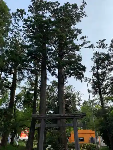 諏訪神社の鳥居