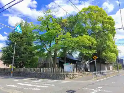 神明社の自然
