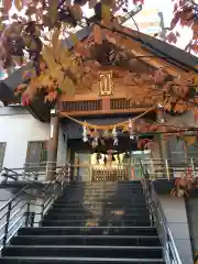 札幌祖霊神社の自然