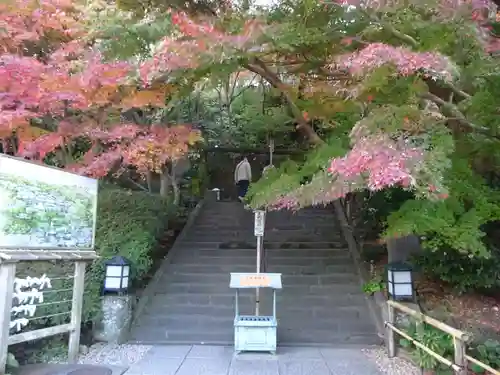 長谷寺のその他建物